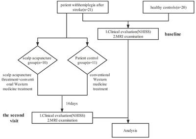 Scalp acupuncture regulates functional connectivity of cerebral hemispheres in patients with hemiplegia after stroke